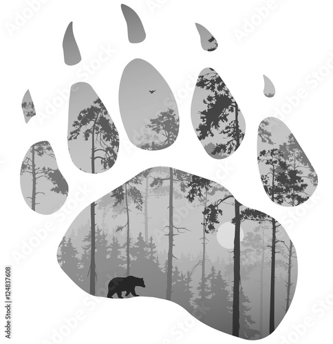 bear trail