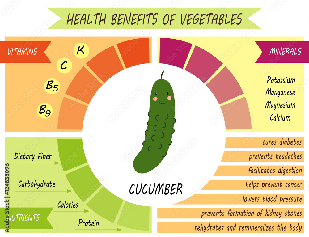 Cute infographic page of Health Benefits of Cucumber like vitamins