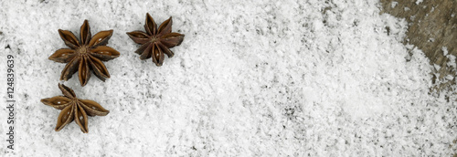 Anissterne im Schnee Banner