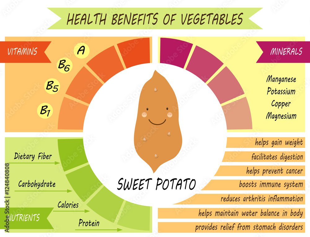 Cute infographic page of Health Benefits of Sweet potato like vitamins