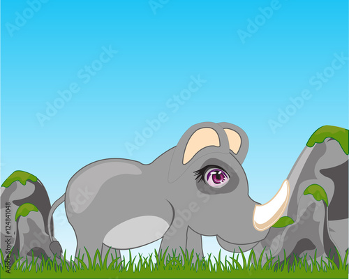 Rhinoceros on glade