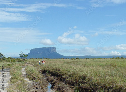 Treeking in the Gran Sabana / trekking in Venezuela's Gran Sabana, returning to visit Angel Falls

