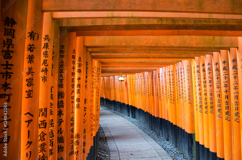 Torii gates in Fushimi Inari Shrine, Kyoto, Japan