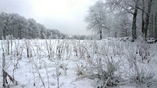 Winter photo