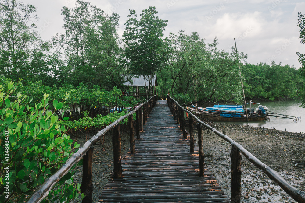 Bridge to the wooden boat at mangrove forest