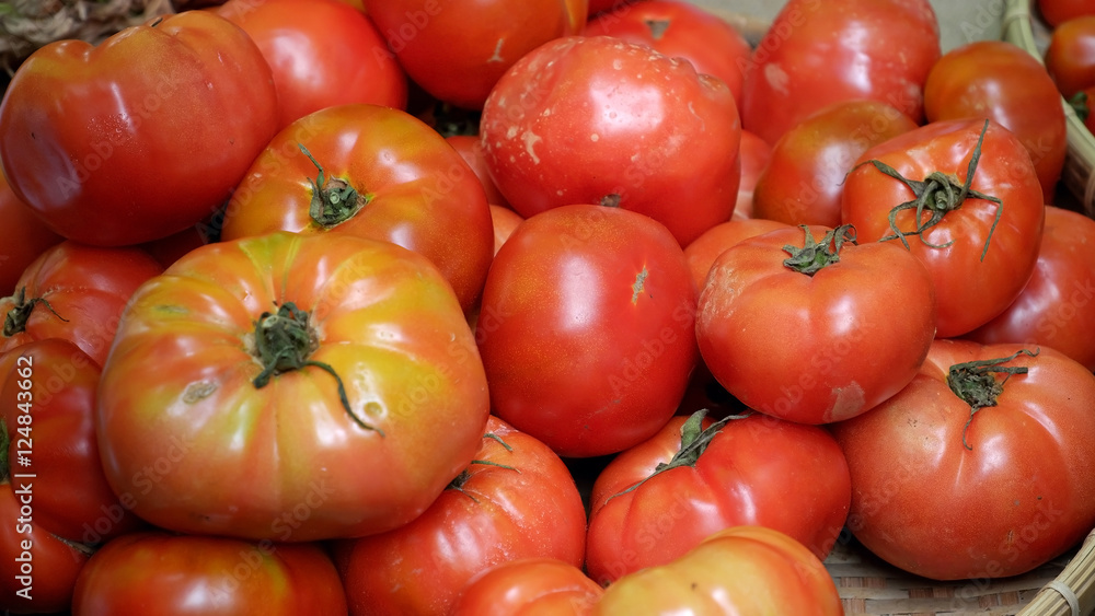 tomato fruit at safety agriculture fair tomato fruit at safety agriculture fair