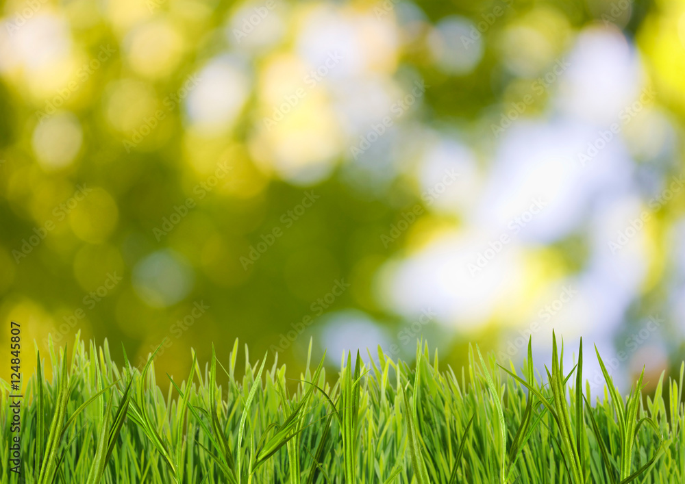 image of grass on green background closeup