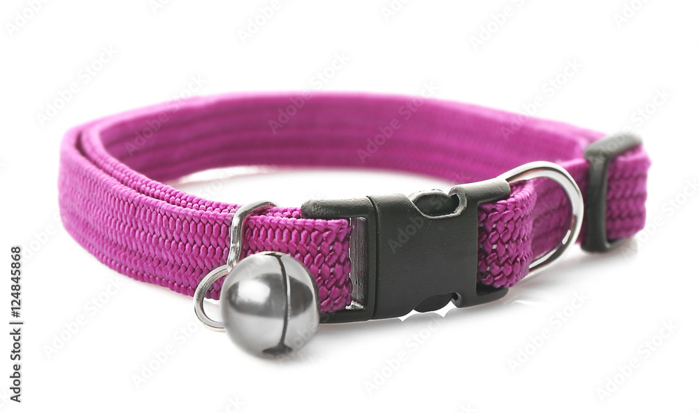 Obraz premium Pet collar on white background