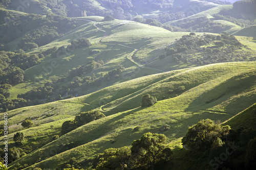lucas valley hills