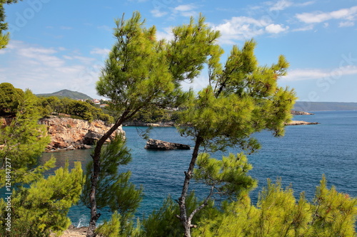 Two pines,Alonissos,Greece