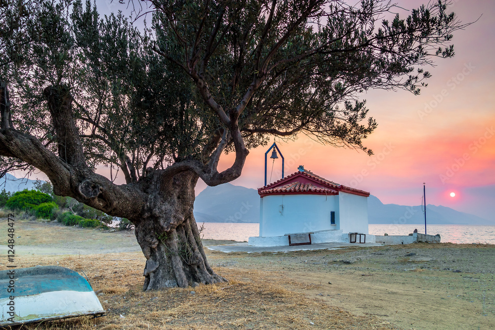 Fototapeta Grecki kościół i drzewo oliwne przy zmierzchem