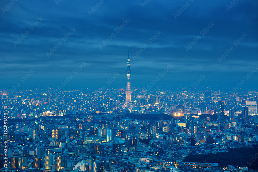 Fototapeta premium Shinjuku Ward skyline in Tokyo, Japan.