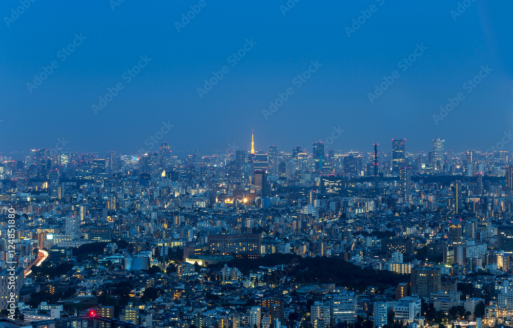 Shinjuku Ward skyline in Tokyo, Japan.