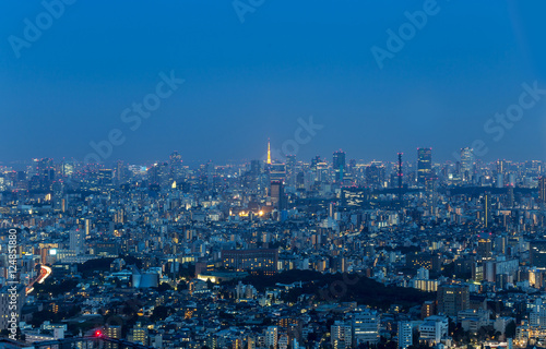 Shinjuku Ward skyline in Tokyo, Japan. © kanuman