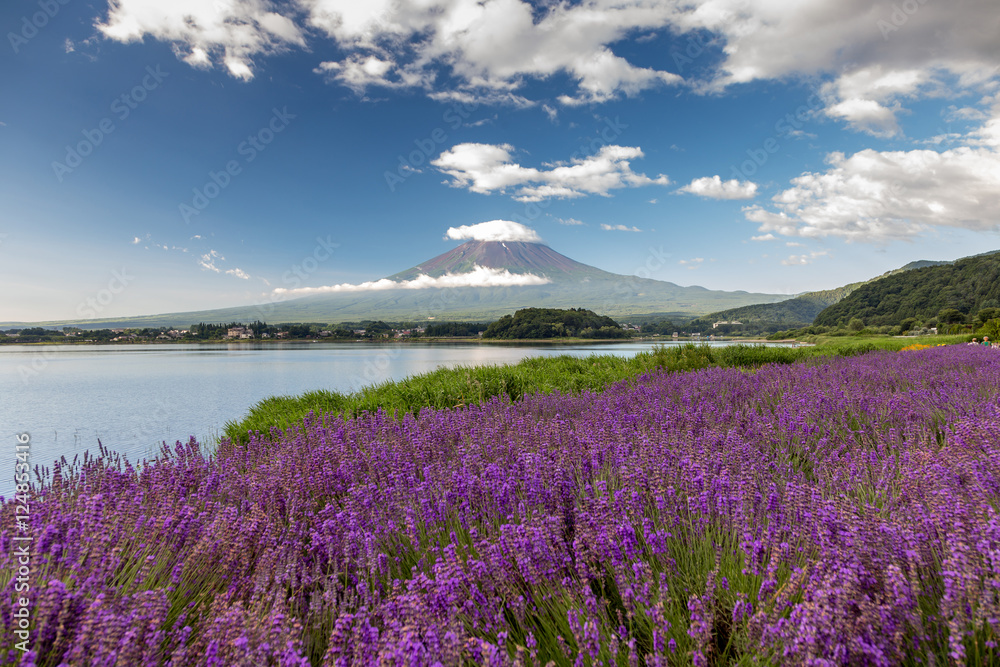 Mount fuji at Lake kawaguchiko. Milky Way. fuijsun in japan. Mount fuji at Lake kawaguchiko. Milky Way. fuijsun in japan.