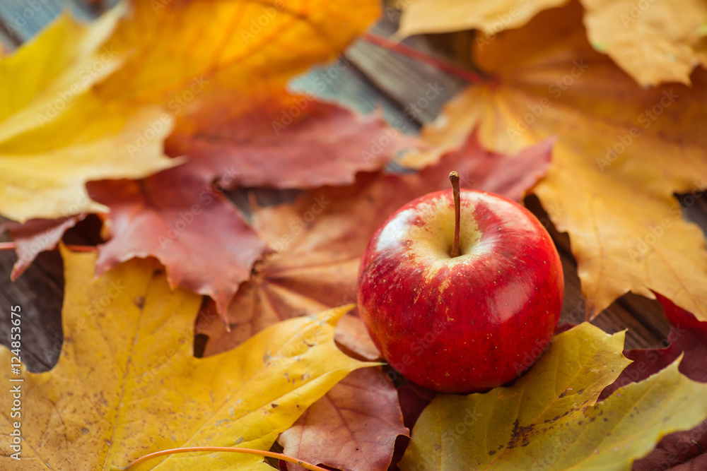 Red autumn apples with maple leaves on wooden table Red autumn apples with maple leaves on wooden table