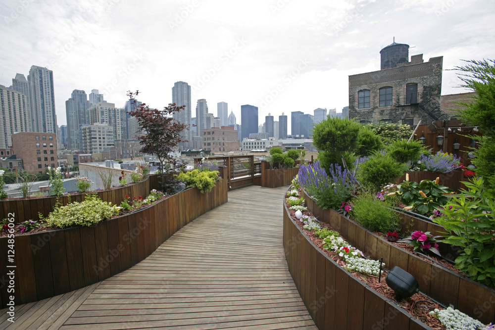 rooftop garden cityscape rooftop garden cityscape