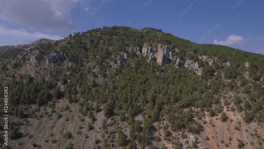 Subiendo a la montaña del bosque