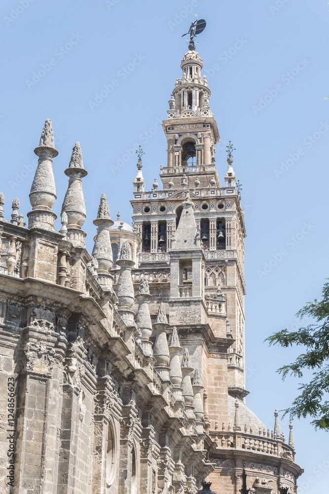 The Cathedral of Saint Mary of the See (Seville Cathedral) in Se