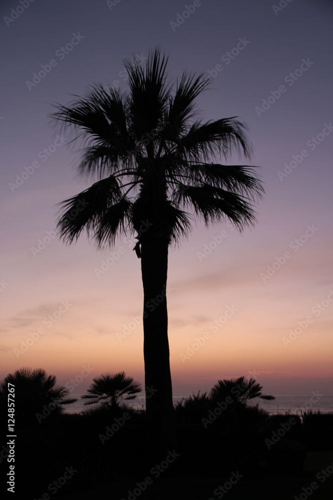 Strand an der Coast de La Luz