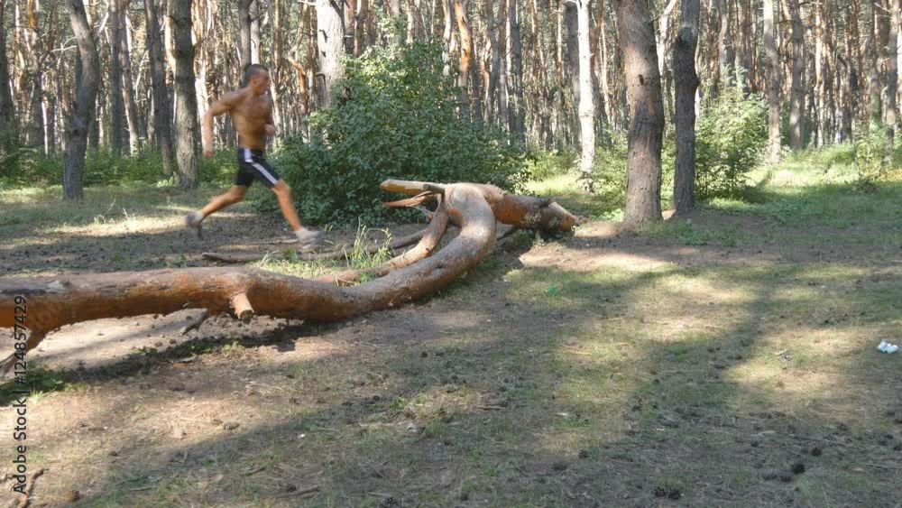 Group of male sportsmans are running and jumping over log on path through. Training outdoor. Men running cross country in summer forest. Workout at beautiful landscape in nature at the wood. Group of male sportsmans are running and jumping over log on path through. Training outdoor. Men running cross country in summer forest. Workout at beautiful landscape in nature at the wood.