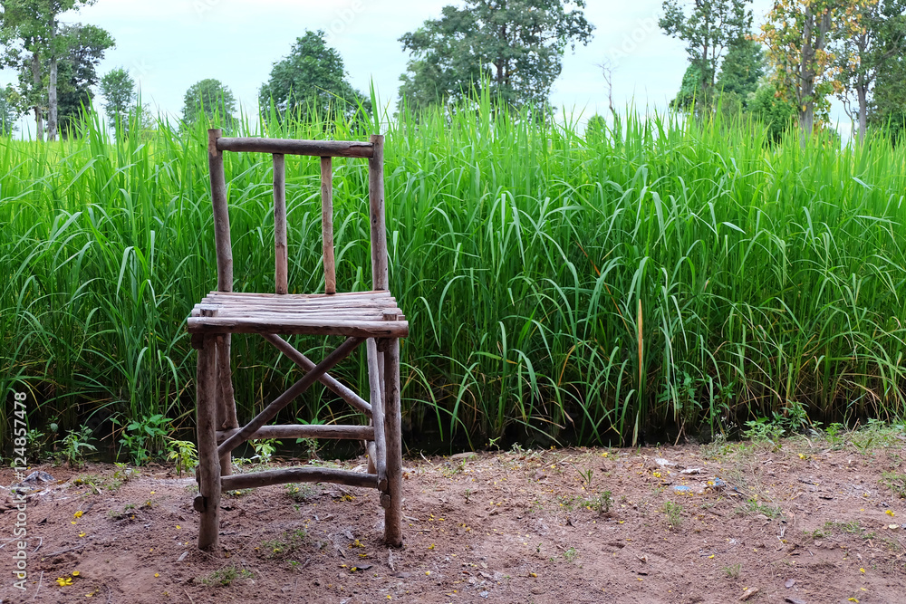 Wooden chair on rice plant background. countryside in thailand. Wooden chair on rice plant background. countryside in thailand.