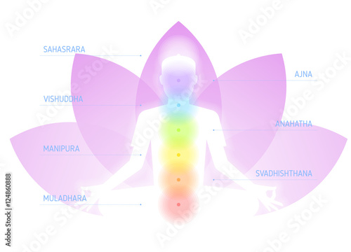 Meditation on the lotus flower background. Flat vector concept illustration and infographic of human silhouette with chakras: sahasrara, ajna, vishuddha, anahatha, manipura, svadhishthana, muladhara.