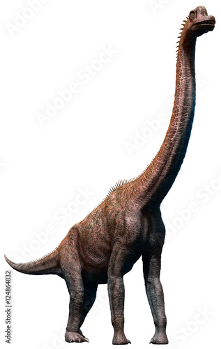 Brachiosaurus from the Jurassic era 3D illustration