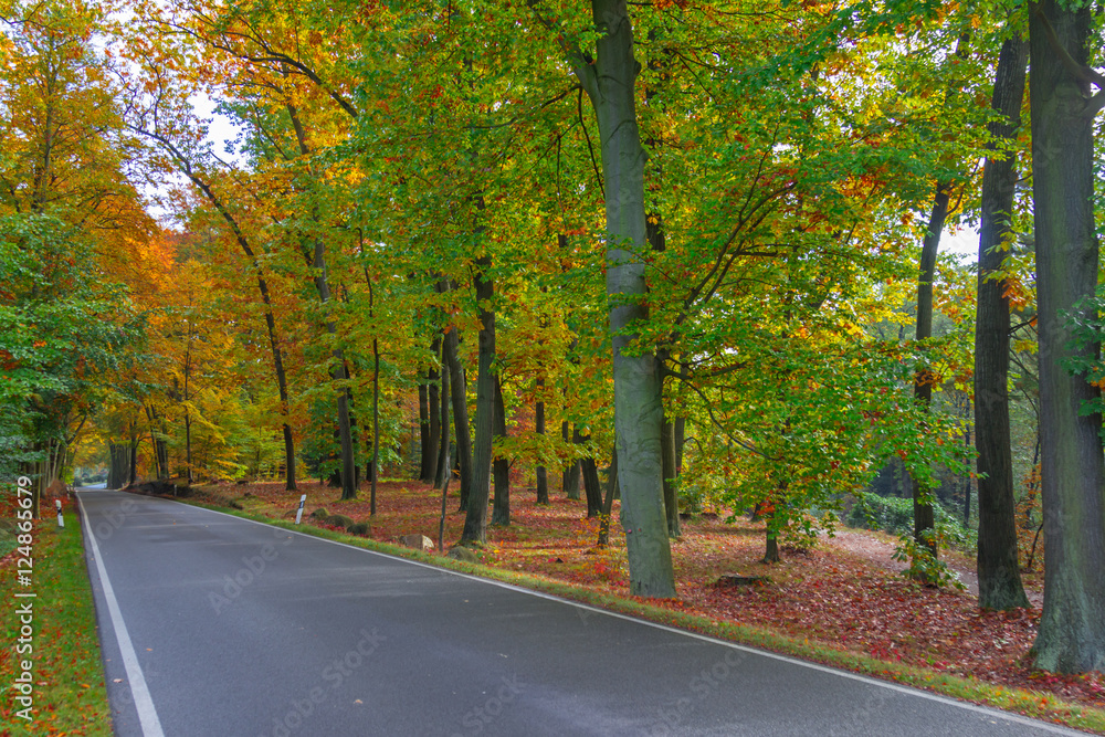 Obraz premium Herbst