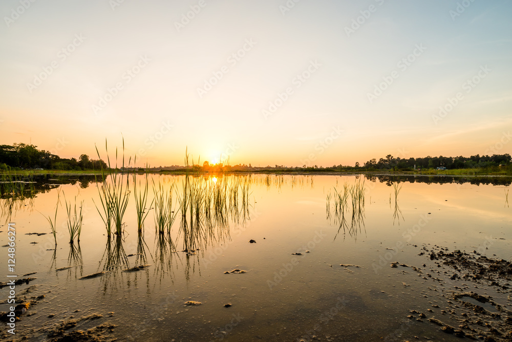 sunset on the lake landscape