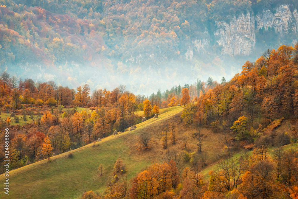 Fototapeta premium Autumn mountain / Amazing autumn view of a mountain meadow in the central Balkan Mountains, Bulgaria