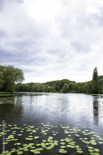 Lac aux lotus