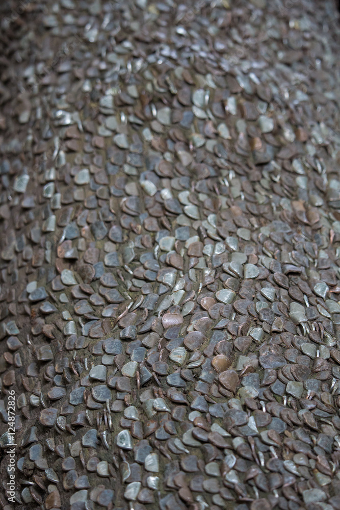 Obraz premium Coins in a Tree Trunk