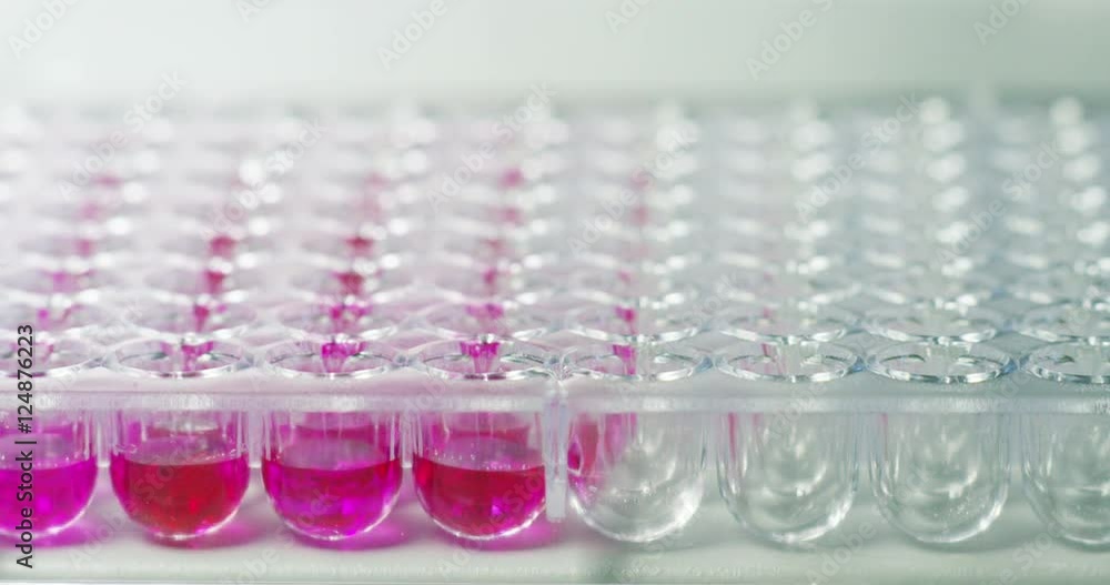 An experienced scientist analyzes the tubes in his laboratory with all the equipment to high technology professional, analyze products for pharmaceutical companies, for the welfare of the people and m An experienced scientist analyzes the tubes in his laboratory with all the equipment to high technology professional, analyze products for pharmaceutical companies, for the welfare of the people and m