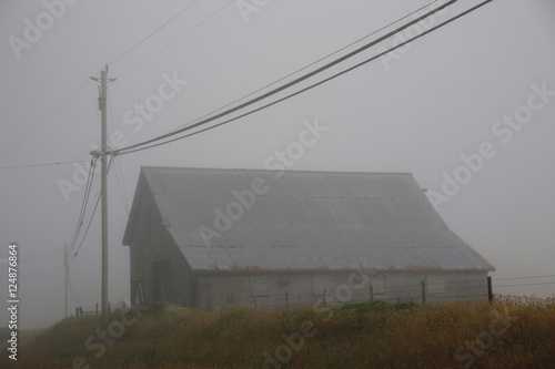 barn n telephone wires in fog