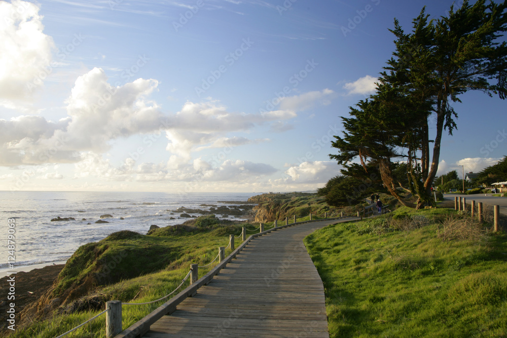 wood plank path to ocean wood plank path to ocean