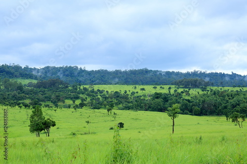 The forest, green field and mountain landscape view in Northern