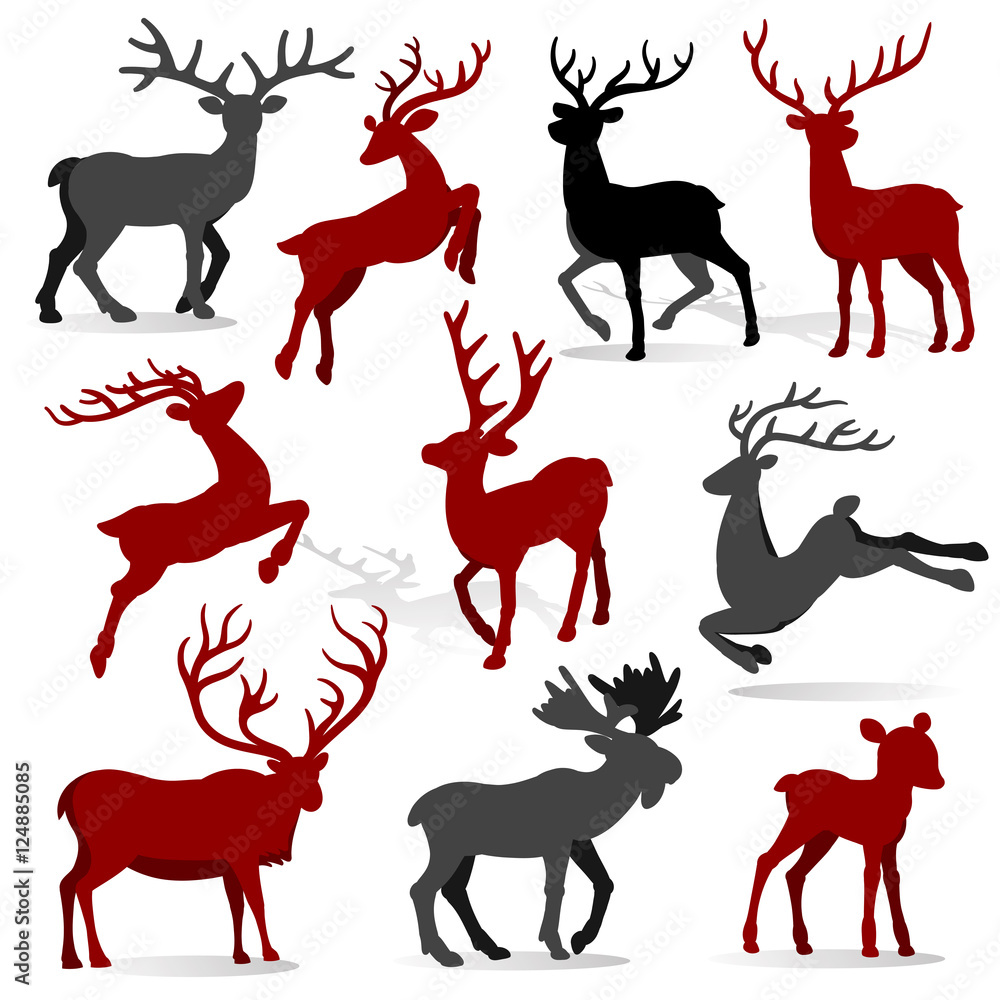 Fototapeta premium Christmas Collection Reindeer