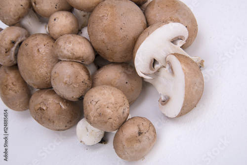 funghi champignon su fondo bianco bagnato
