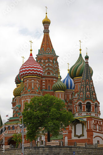 st-basil cathedral n tree