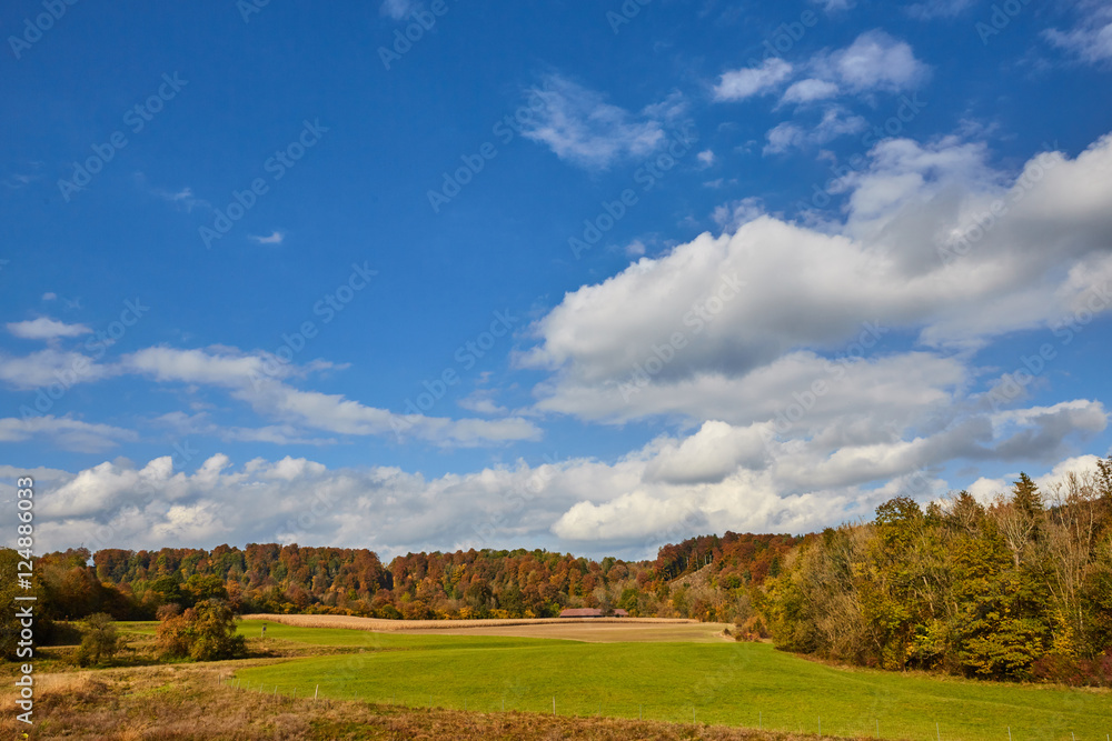 Beautiful autumn landscape with forest and blue sky Beautiful autumn landscape with forest and blue sky