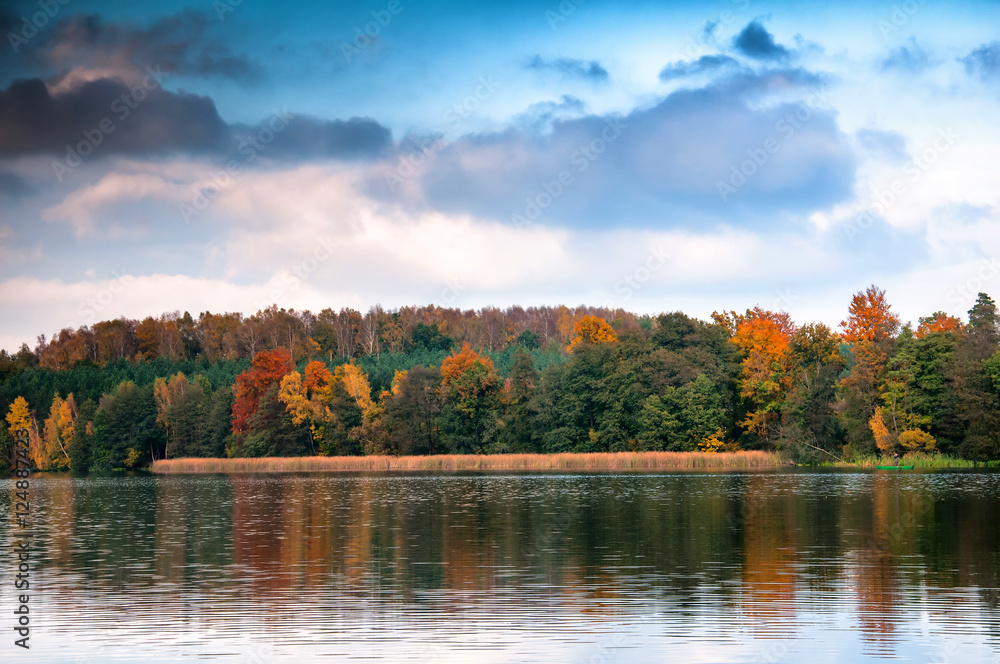 Beautiful forest and lake in autumn