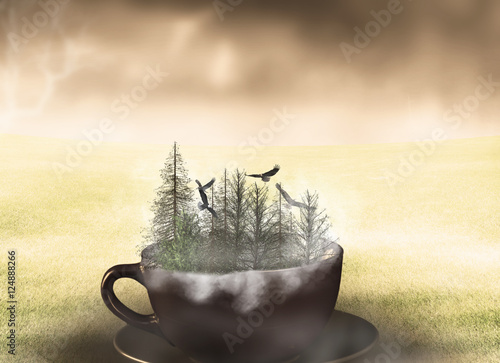 Surreal landscape/Surreal forest landscape photo manipulation