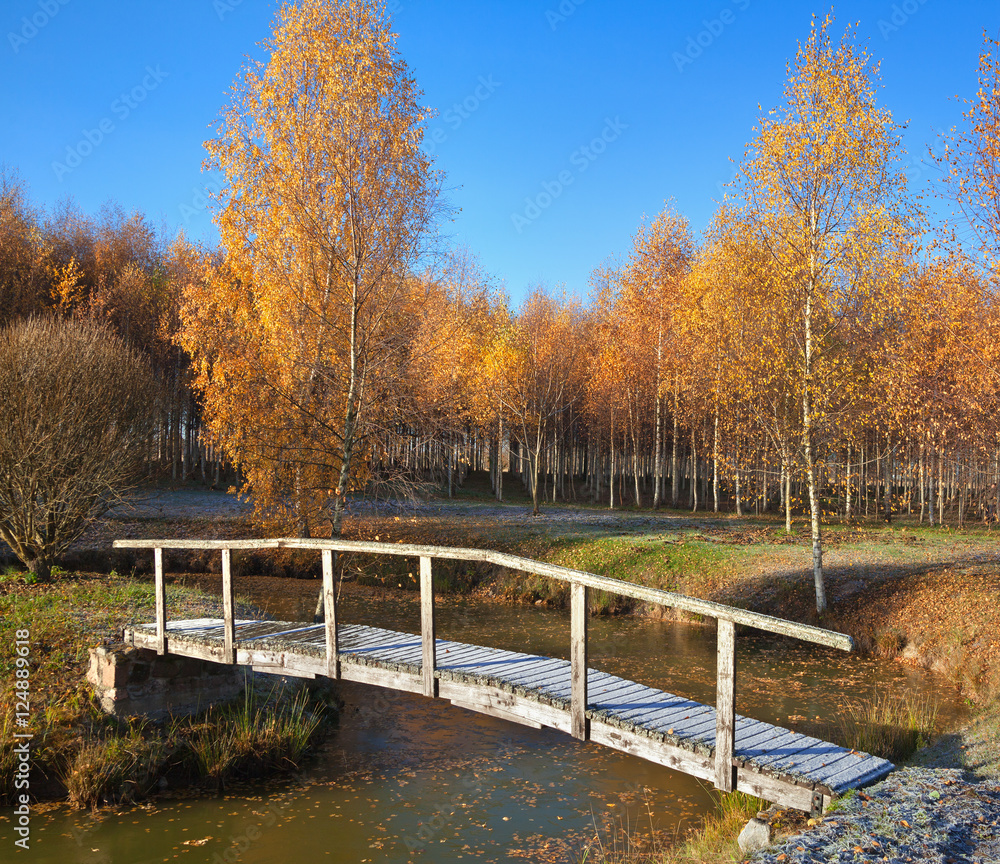 Bridge across the lake. Bridge across the lake.