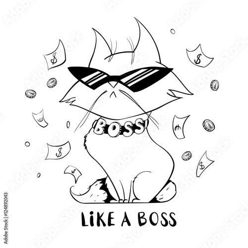 Funny cat in sunglasses isolated on white background.