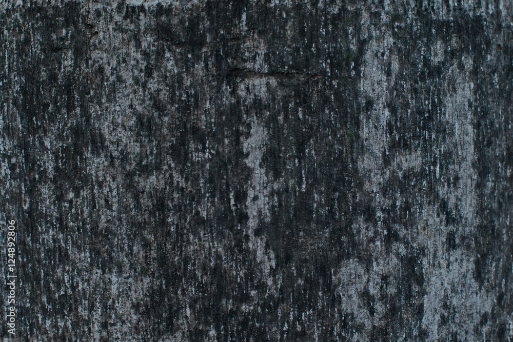 dirty black on coconut tree texture 