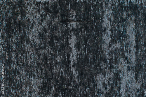 dirty black on coconut tree texture 