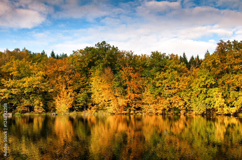 Fototapeta premium Beautiful forest and lake in autumn