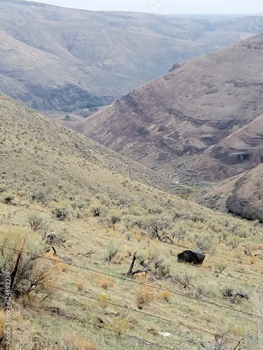 Canyon III
