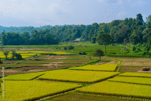 Landscape of mountain and farm